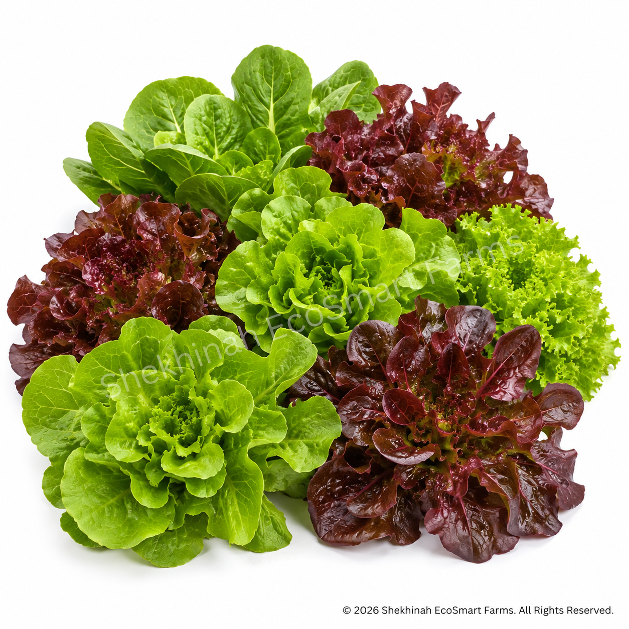 Lettuce Mix