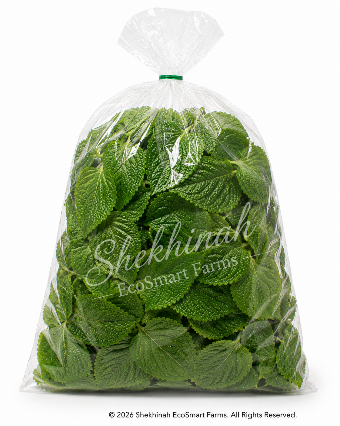 African Basil (Ẹ̀fírín)