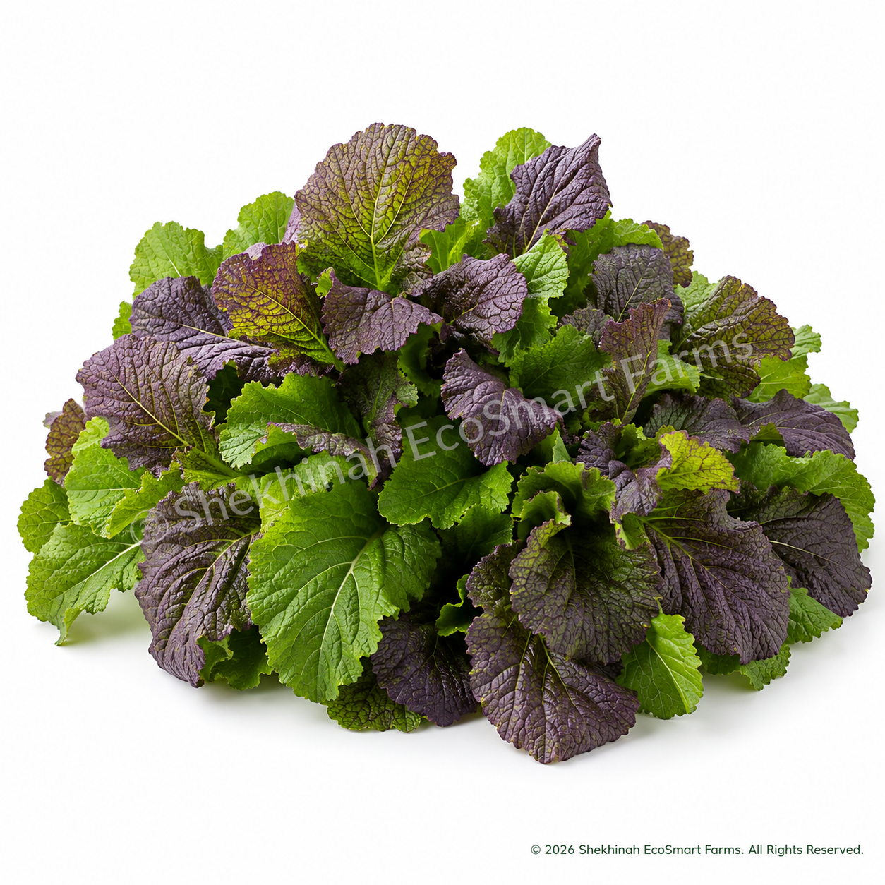 Mustard Greens