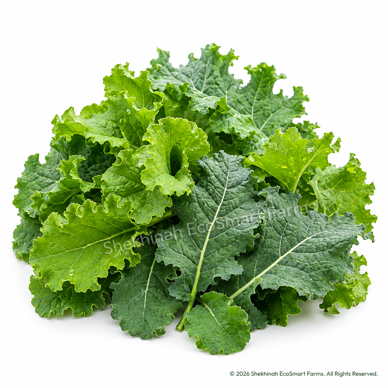 Kale