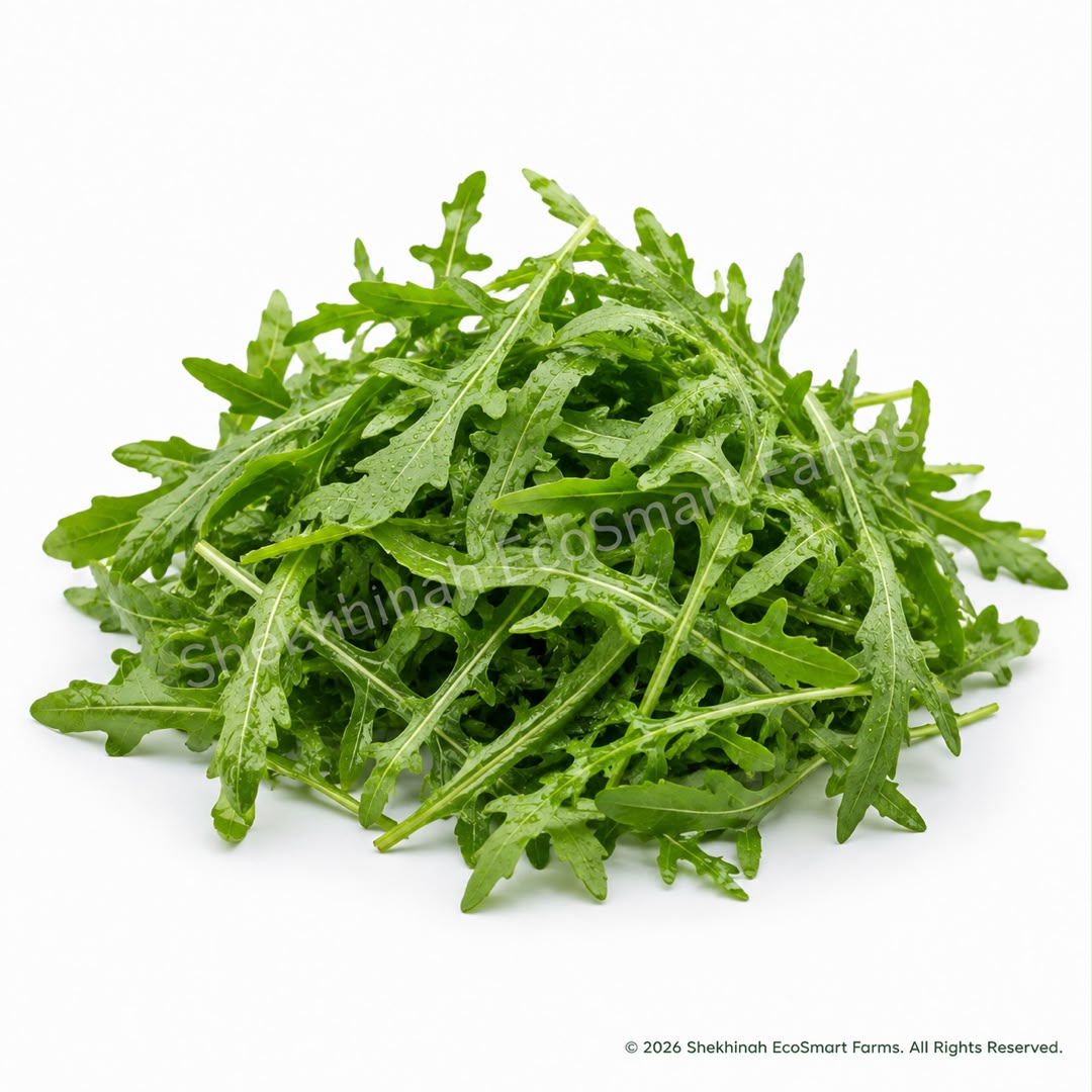 Baby Arugula