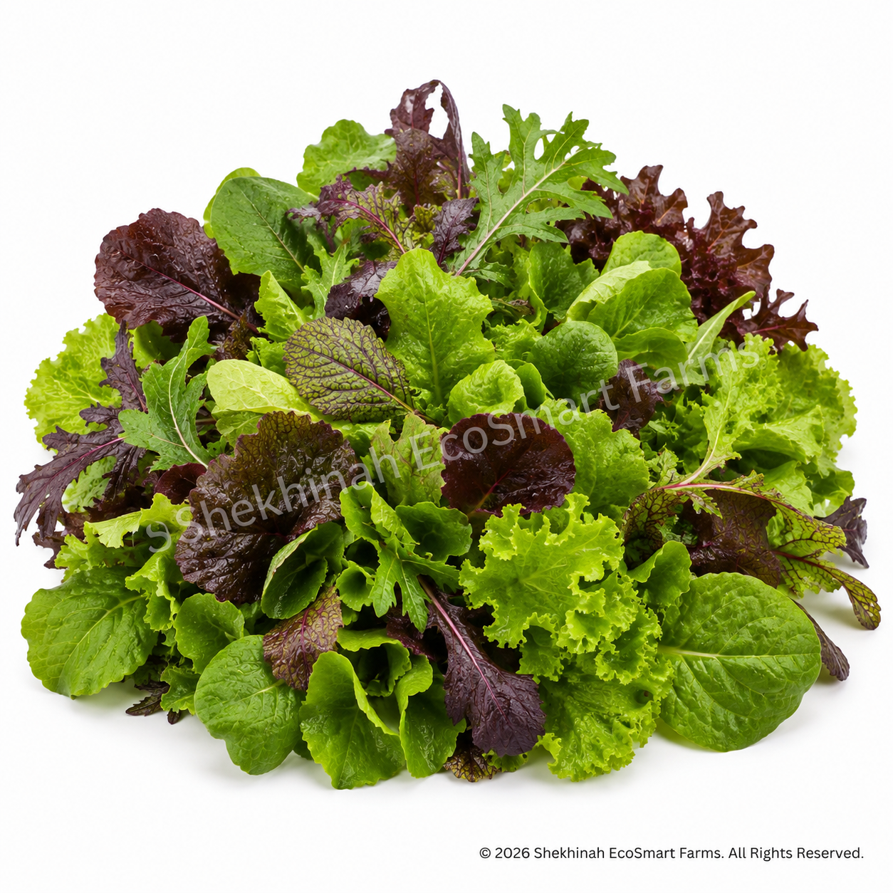 Mesclun Mix