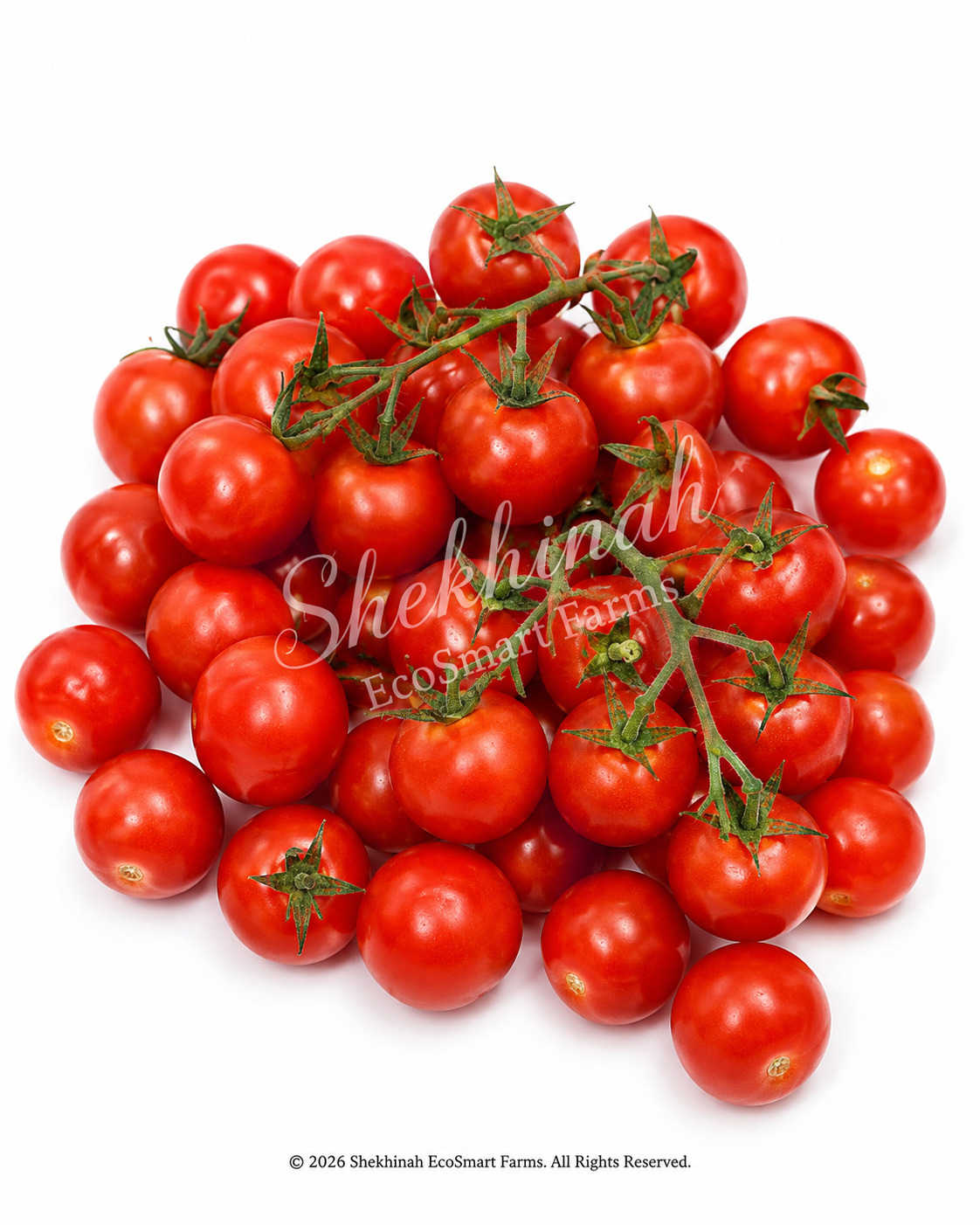 Cherry Tomatoes