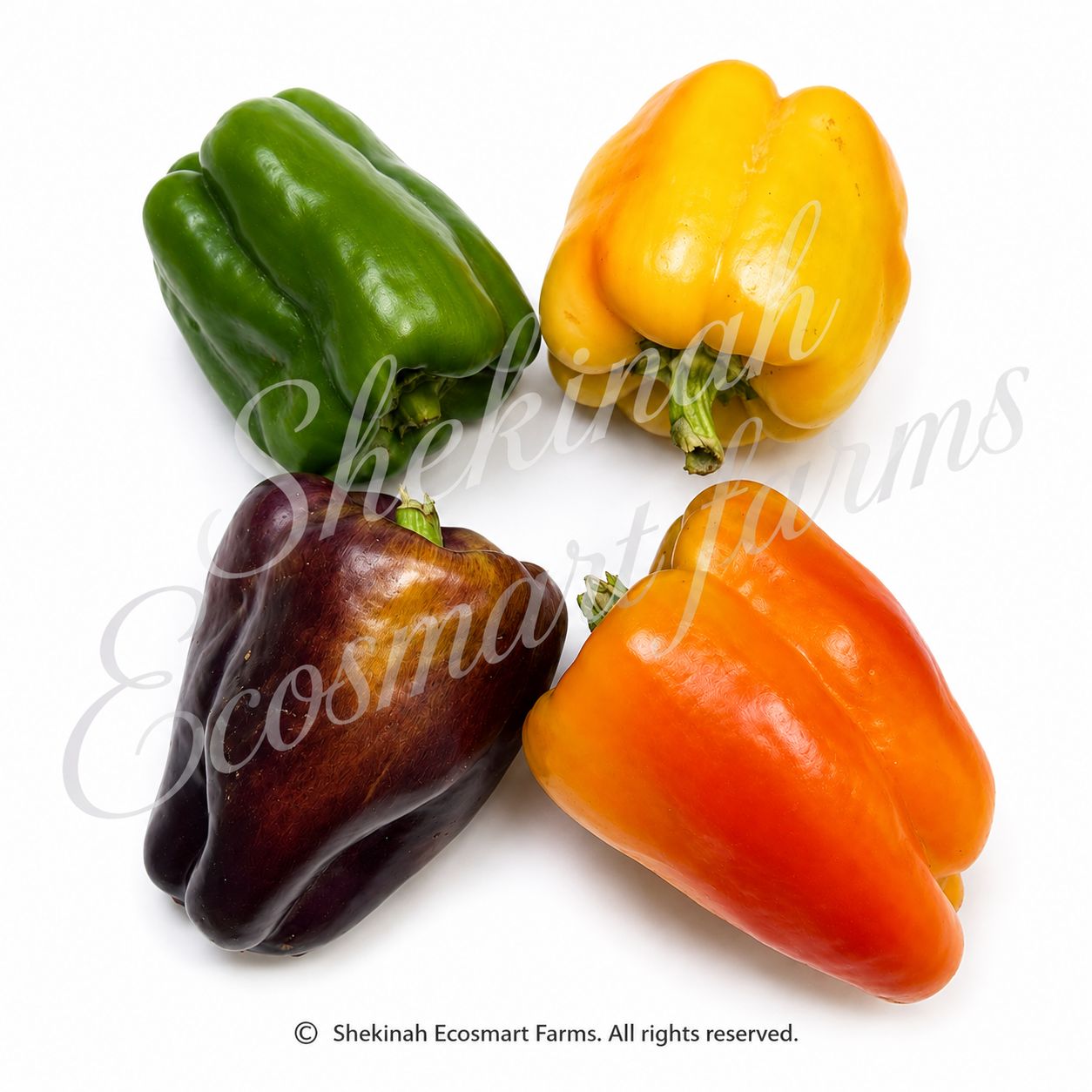 Sweet Peppers · Mixed Colours