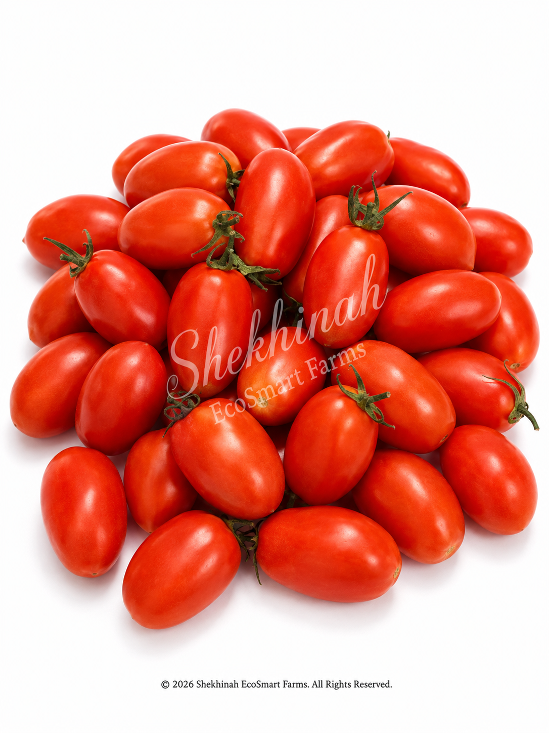 Tomatoes · Roma (Sunrise Sauce, Granadero)