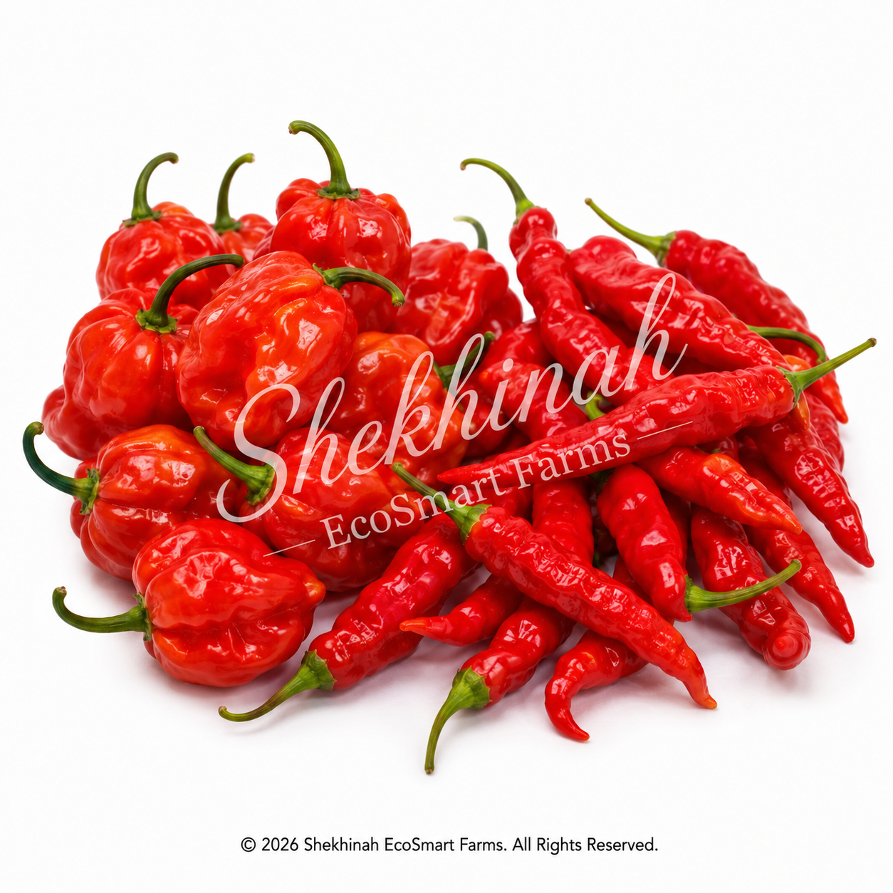 Hot Peppers (Abay · Tequila)