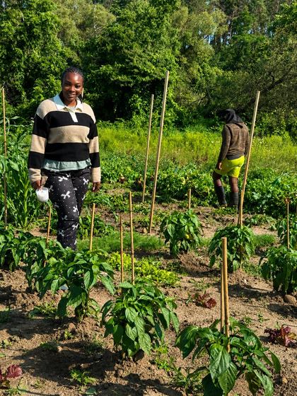A grower walking between planted rows