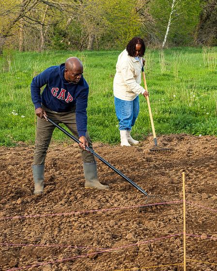 Turning and preparing the soil in the beds